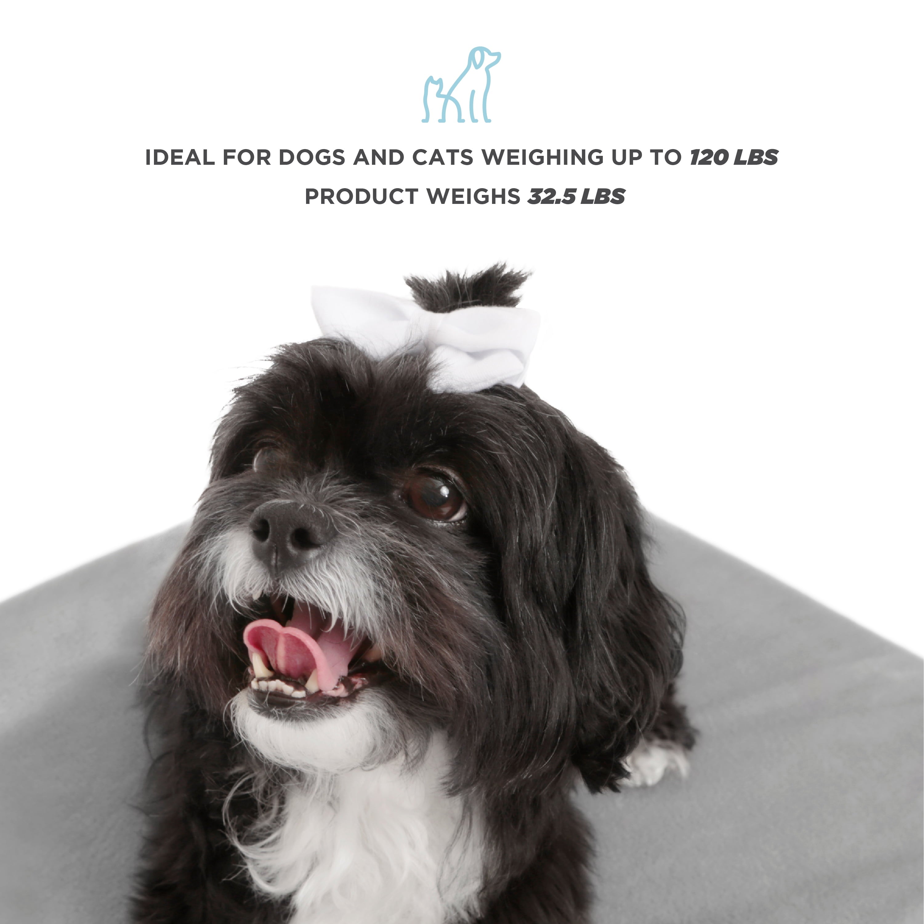 Elevate Your Pet's Comfort with the Winston Extra Large Wooden Pet Bed and Plush Mattress in White