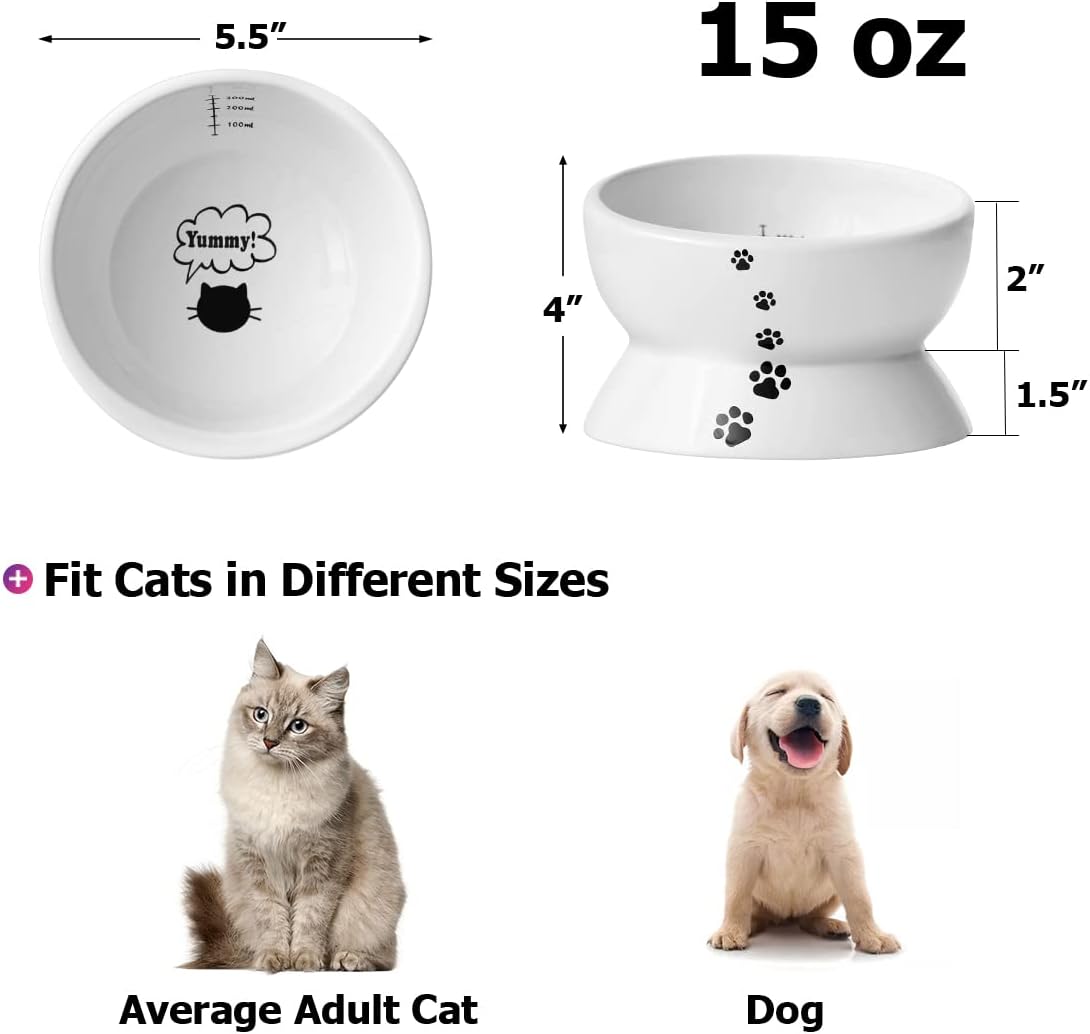 Elevate Your Cat's Dining Experience with Our Tilted Ceramic Food and Water Bowl - 15oz, No Spill Design, Perfect for Small Breeds