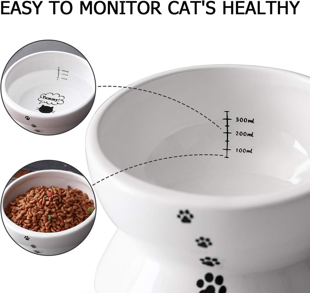 Elevate Your Cat's Dining Experience with Our Tilted Ceramic Food and Water Bowl - 15oz, No Spill Design, Perfect for Small Breeds