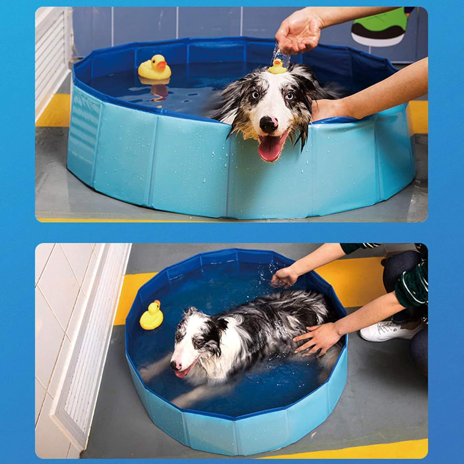 Ultimate Dog Pool: Foldable Outdoor Swimming Pool for Large & Extra Large Dogs - Anti-Slip PVC Paddling Bathtub for Kids and Pets (63" x 12")