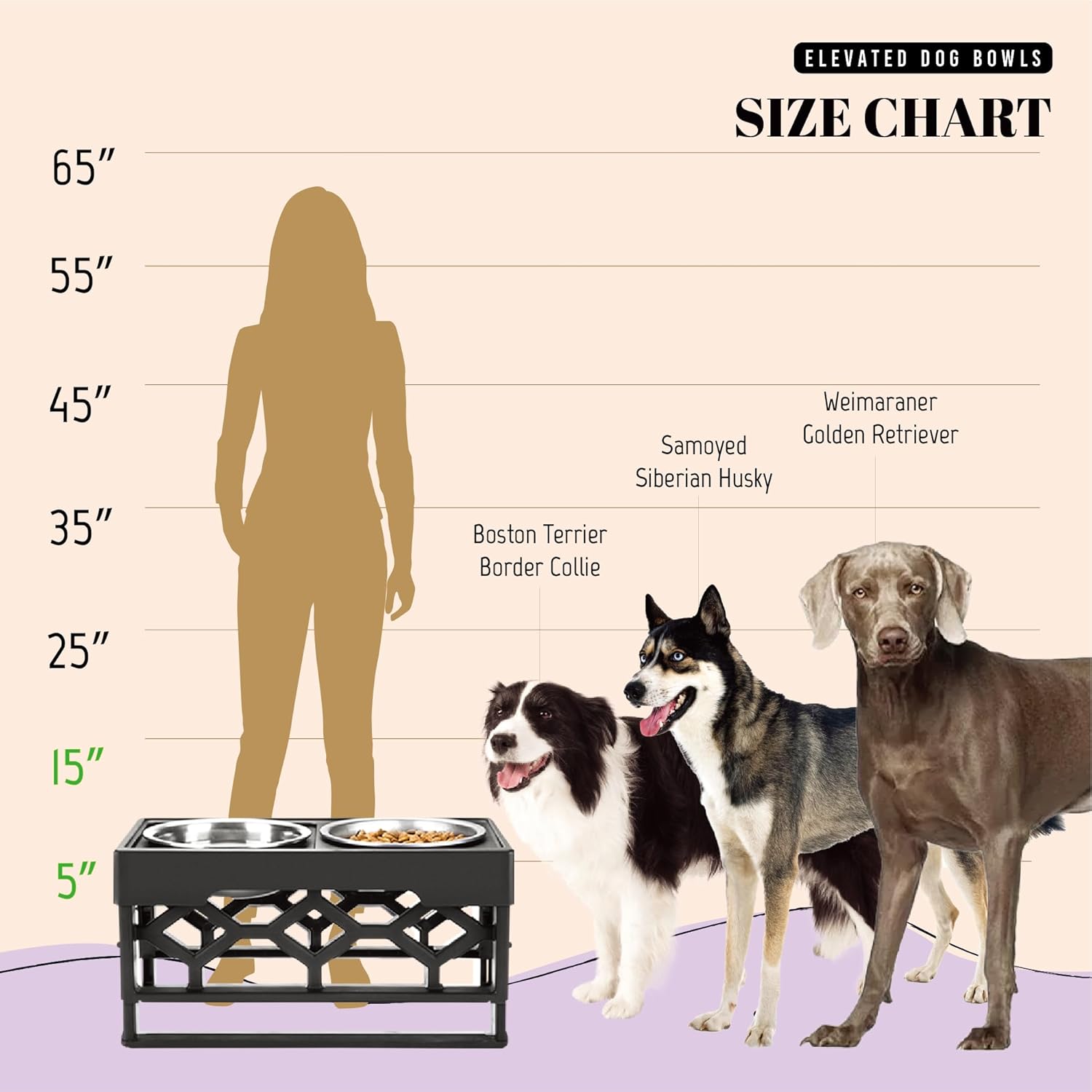 Elevated Dog Bowls with Adjustable Height - Perfect Feeding Station for Medium and Large Dogs with 2 Stainless Steel Bowls and Anti-Slip Base