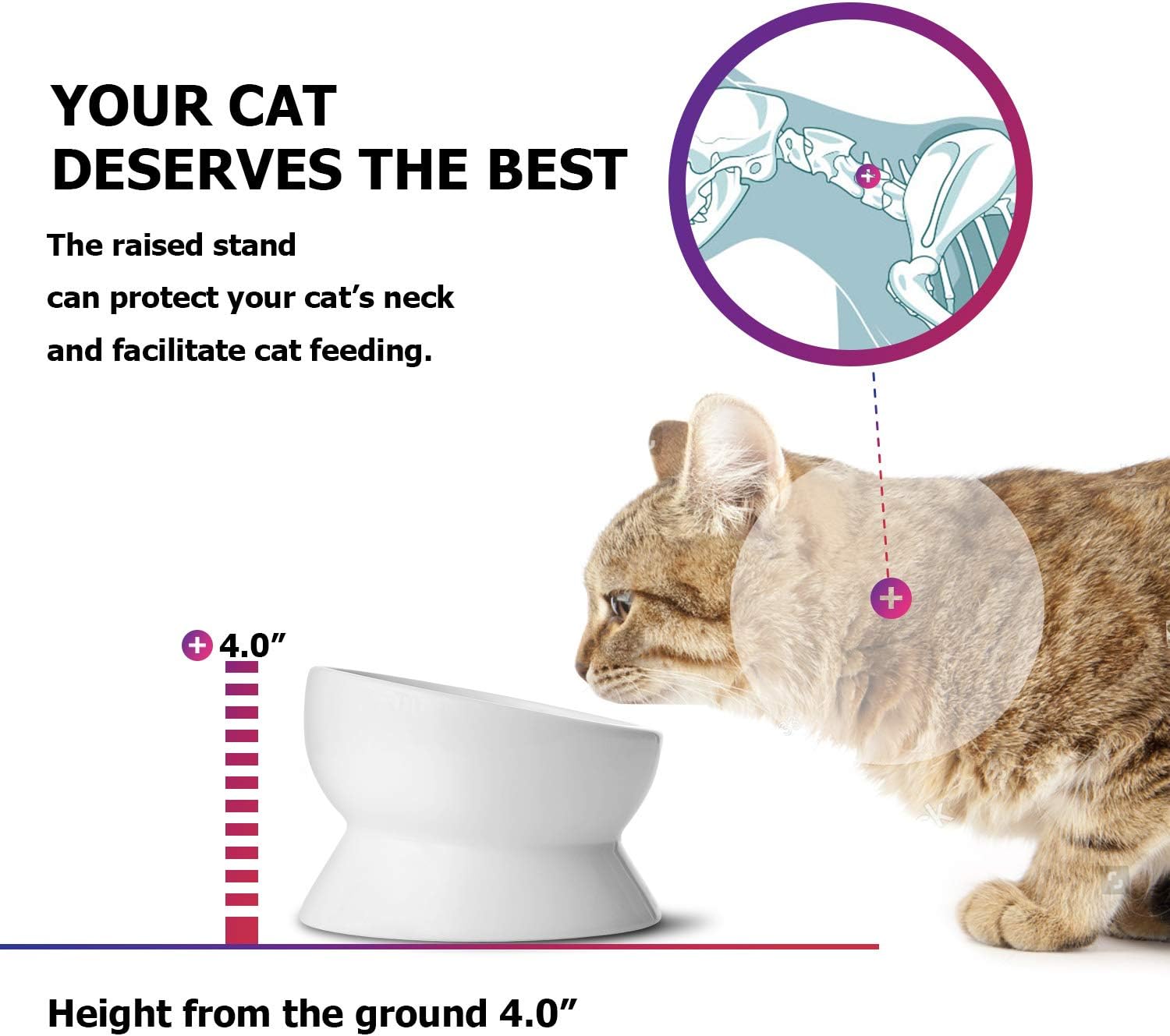 Elevate Your Cat's Dining Experience with Our Tilted Ceramic Food and Water Bowl - 15oz, No Spill Design, Perfect for Small Breeds