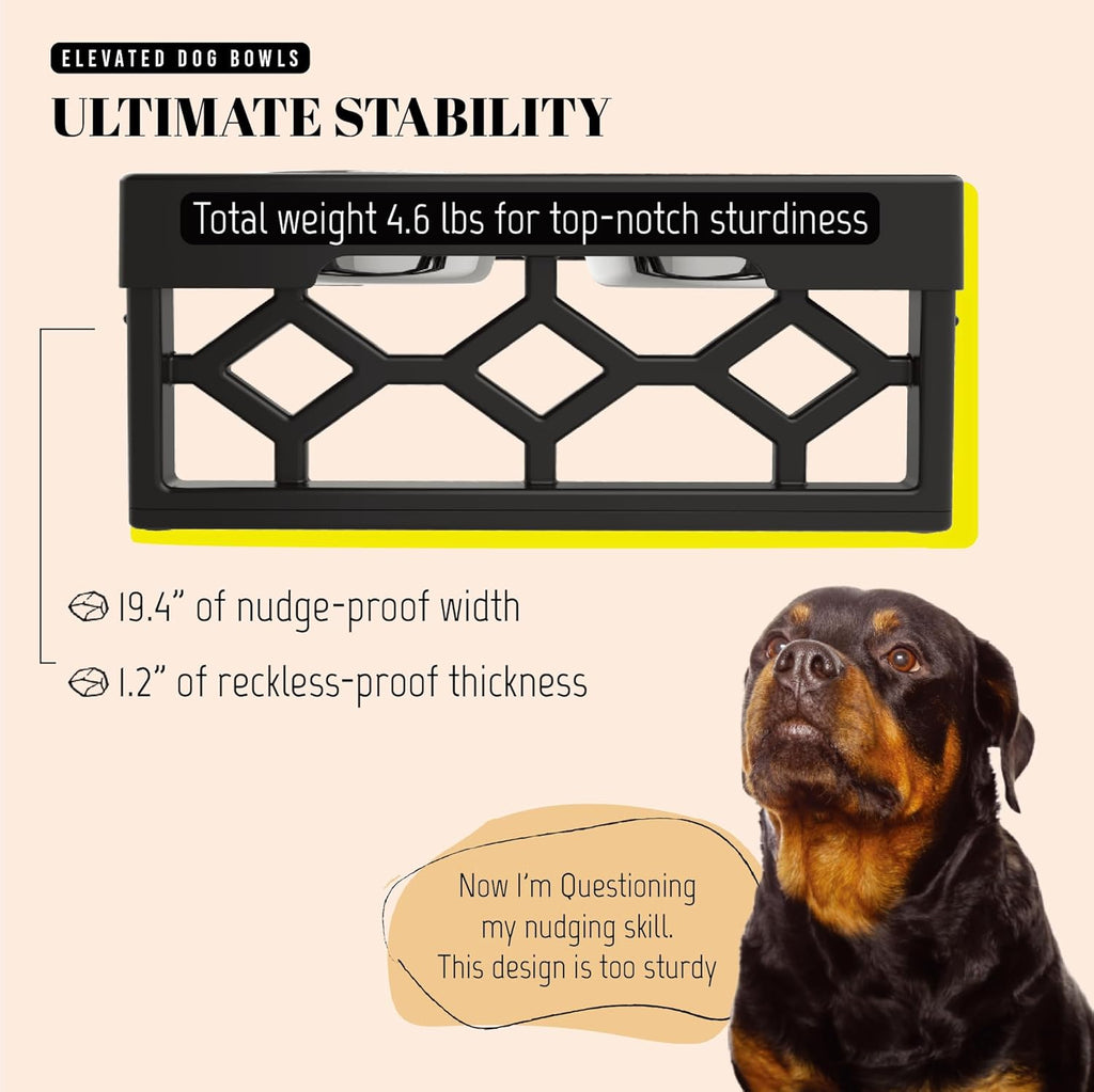 Elevated Dog Bowls with Adjustable Height - Perfect Feeding Station for Medium and Large Dogs with 2 Stainless Steel Bowls and Anti-Slip Base