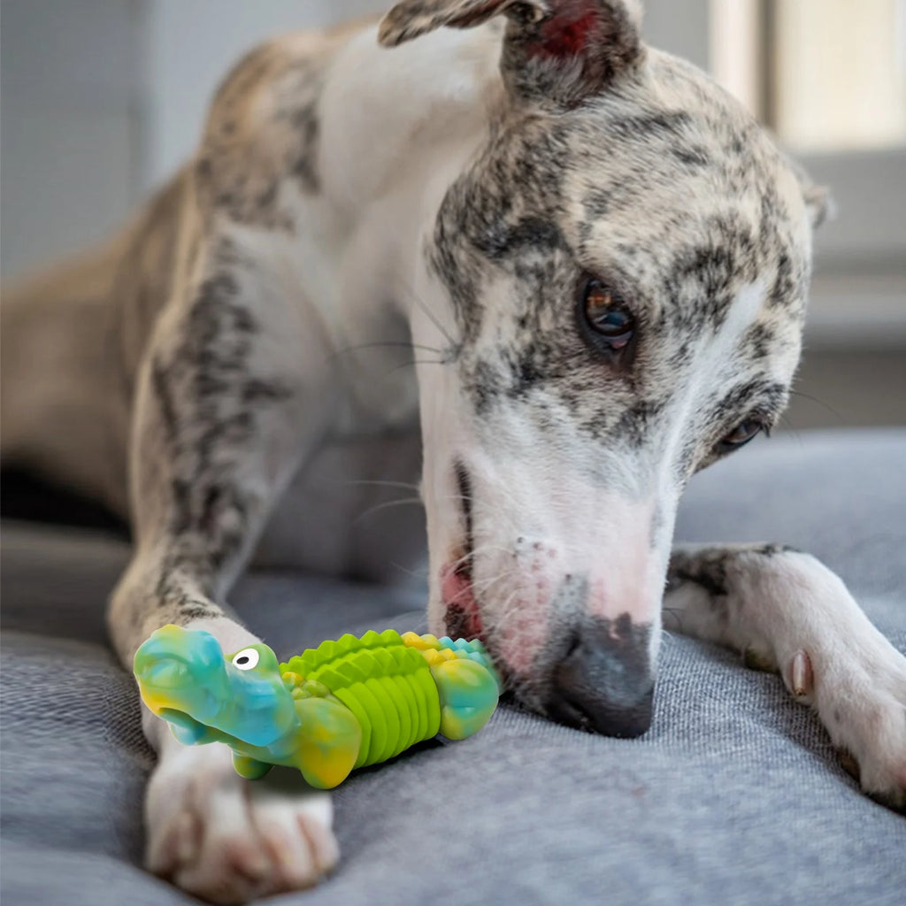 Ultimate Tough Dog Chew Toy - Indestructible Bacon Flavor for Large Breeds - Fun Crocodile Design for Aggressive Chewers