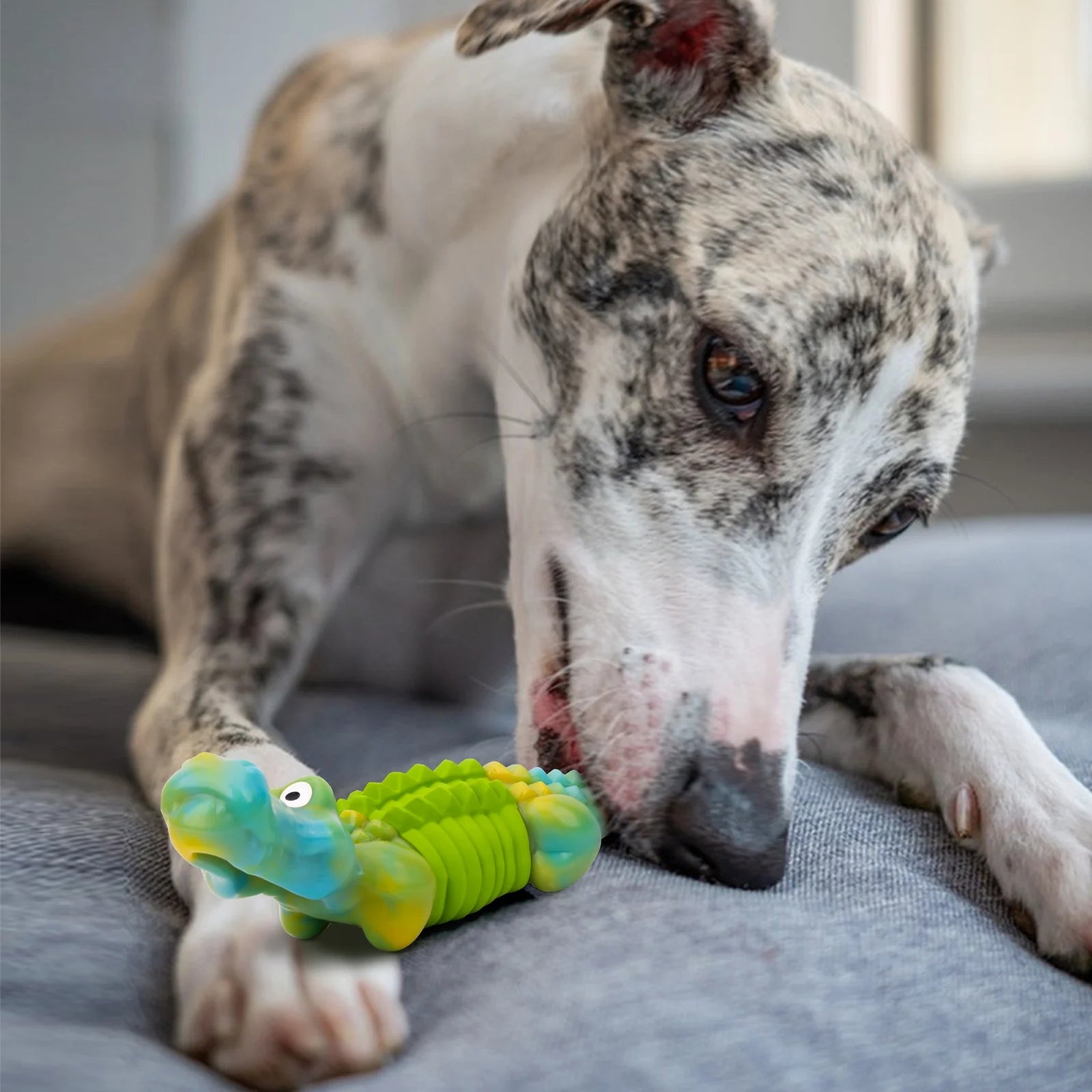 Ultimate Tough Dog Chew Toy - Indestructible Bacon Flavor for Large Breeds - Fun Crocodile Design for Aggressive Chewers