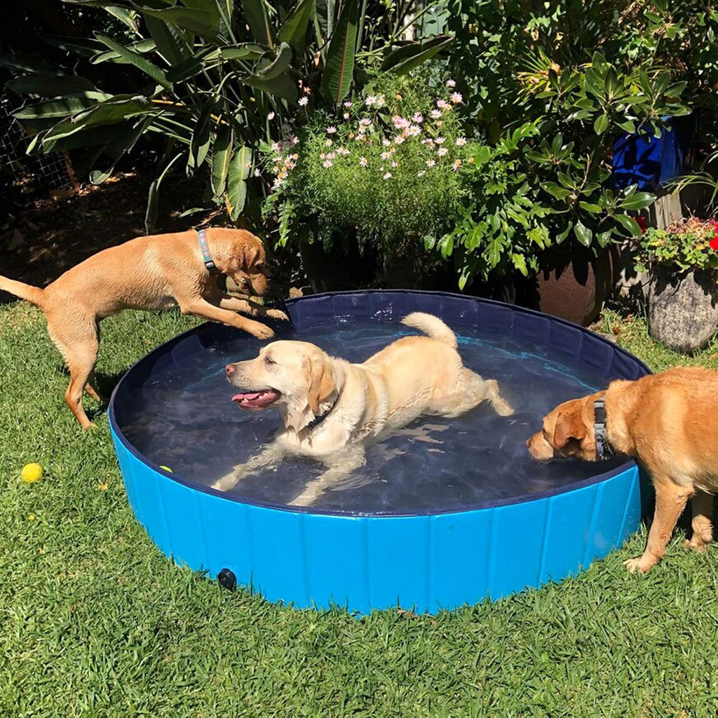 Ultimate Dog Pool: Foldable Outdoor Swimming Pool for Large & Extra Large Dogs - Anti-Slip PVC Paddling Bathtub for Kids and Pets (63" x 12")