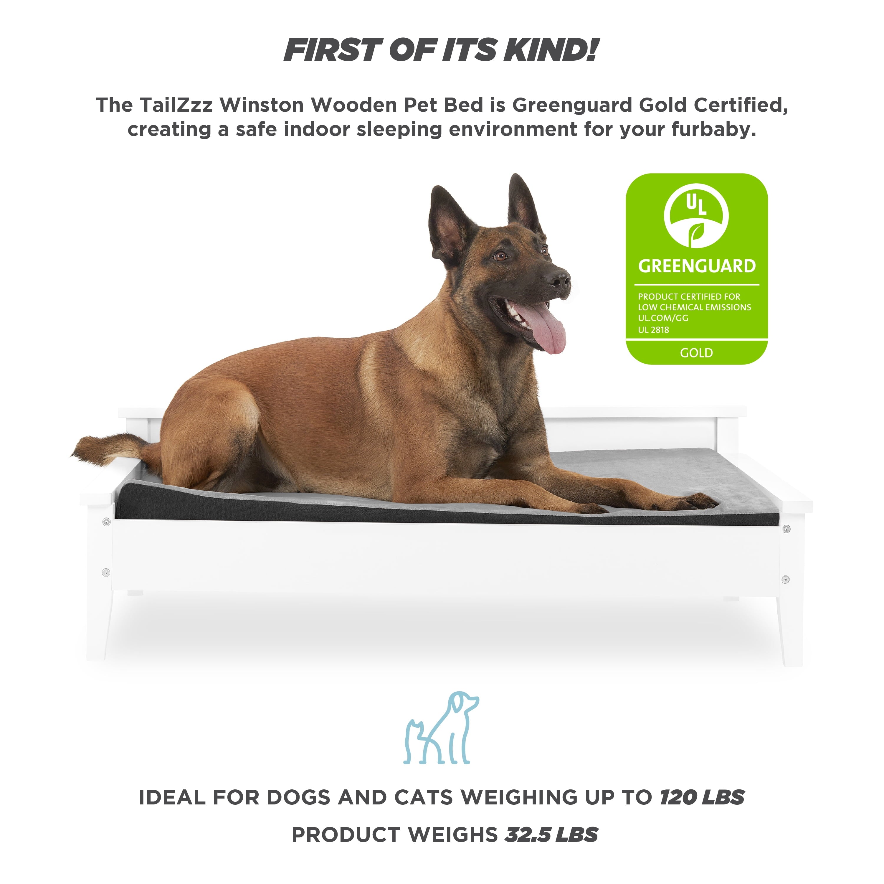 Elevate Your Pet's Comfort with the Winston Extra Large Wooden Pet Bed and Plush Mattress in White