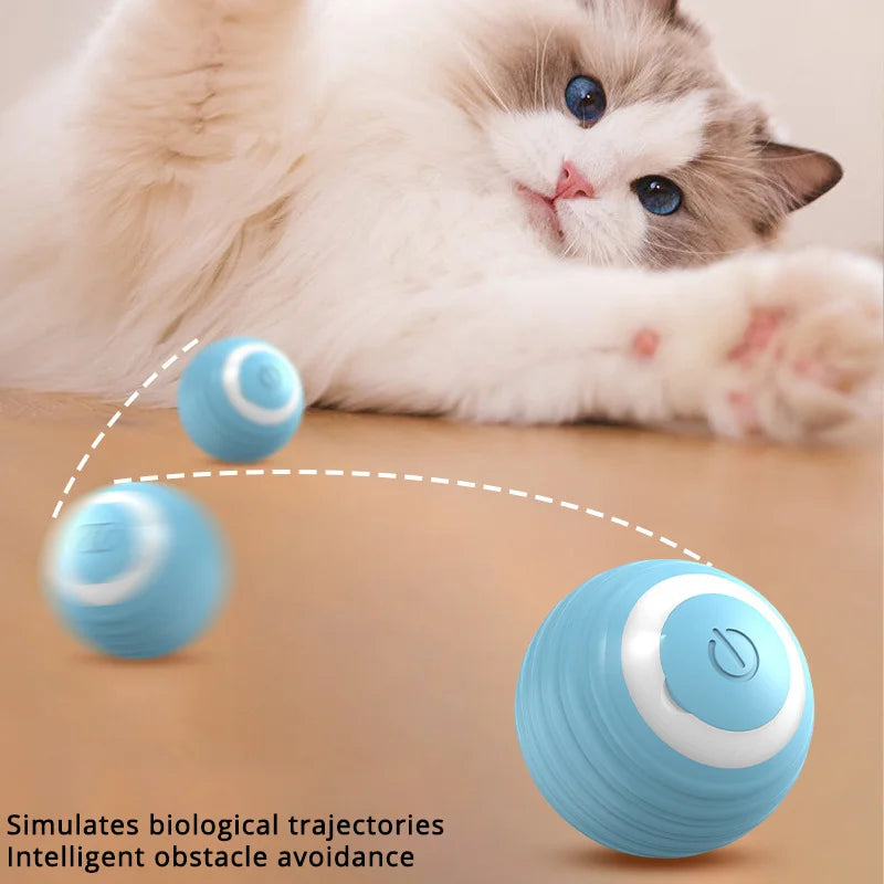 Exciting Interactive Cat Ball - USB Rechargeable, Fast Rolling Motion for Endless Indoor Fun!